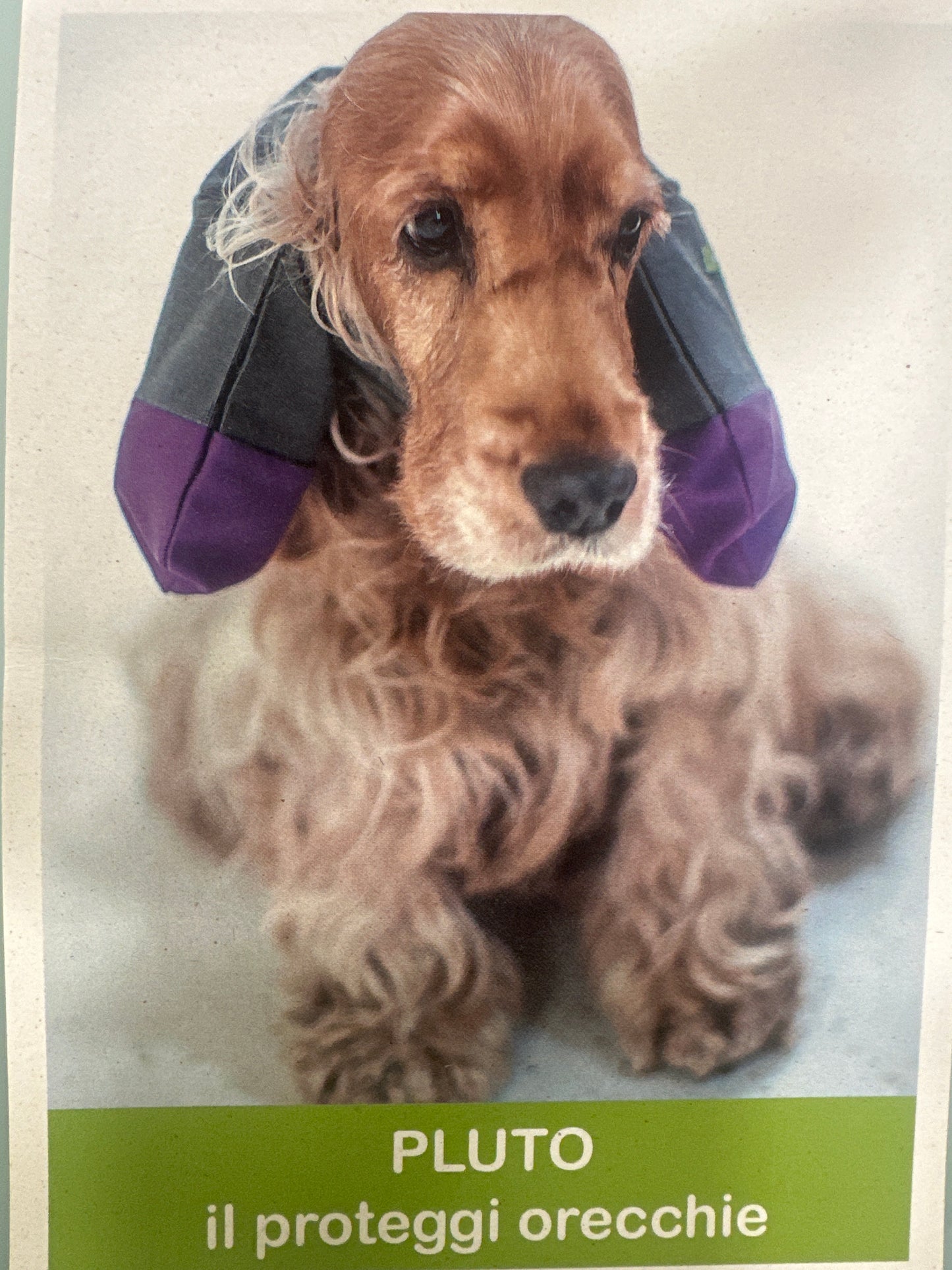 Proteggi orecchie Pluto